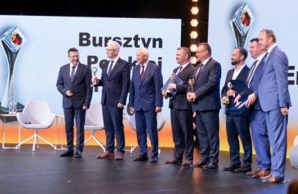 Ogólnopolski Szczyt Energetyczny, Gdańsk 2021