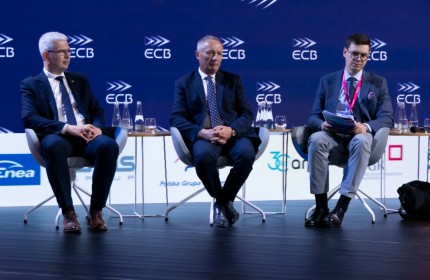 Ogólnopolski Szczyt Energetyczny, Gdańsk 2021