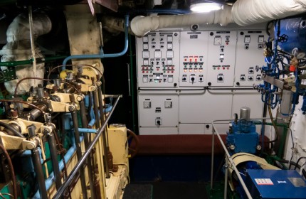 Zawisza Czarny, Belzona