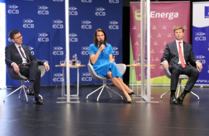 Monika Morawiecka, Prezes Zarządu PGE Baltica