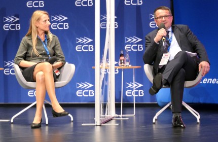 Ewa Malicka Towarzystwo Rozwoju Małych Elektrowni Wodnych, Ireneusz Krupa Polska Spólka Gazownictwa