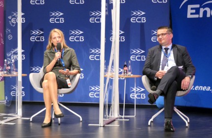Ewa Malicka Towarzystwo Rozwoju Małych Elektrowni Wodnych, Ireneusz Krupa Polska Spólka Gazownictwa